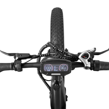 DYU King 750 - E-Bike - Wheelyshop