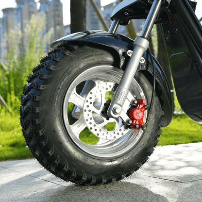 eHoodax 05WQ - Elektro-Dreirad - Wheelyshop