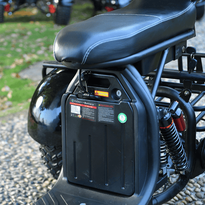 eHoodax 05WQ - Elektro-Dreirad - Wheelyshop