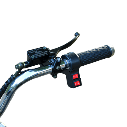eHoodax 05WQ - Elektro-Dreirad - Wheelyshop