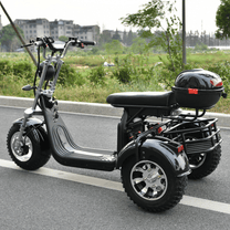eHoodax 05WQ Elektro-Dreirad in der Seitenansicht auf der Straße