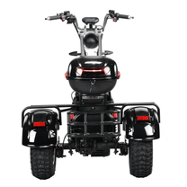 eHoodax 05WQ Elektro-Dreirad von hinten