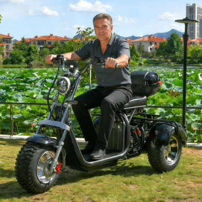 eHoodax 05WQ - Elektro-Dreirad - Wheelyshop