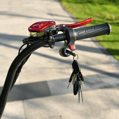 eHoodax X10-City Road - E-Scooter - Wheelyshop
