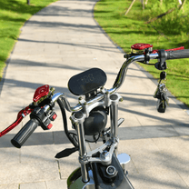 Lenker des eHoodax X10 City Road auf einem Fußweg