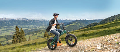 ENGWE EP-2 3.0 Boost - E-Bike - Wheelyshop