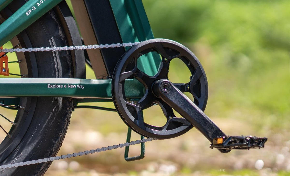 ENGWE EP-2 3.0 Boost - E-Bike - Wheelyshop