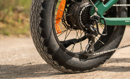 ENGWE EP-2 3.0 Boost - E-Bike - Wheelyshop