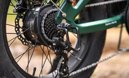 ENGWE EP-2 3.0 Boost - E-Bike - Wheelyshop