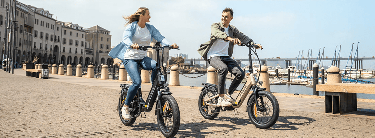 ENGWE L20 3.0 Pro - E-Bike - Wheelyshop