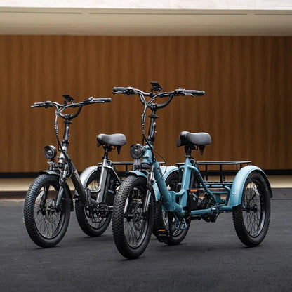 Fafrees F20 Mate - Elektro-Dreirad - Wheelyshop