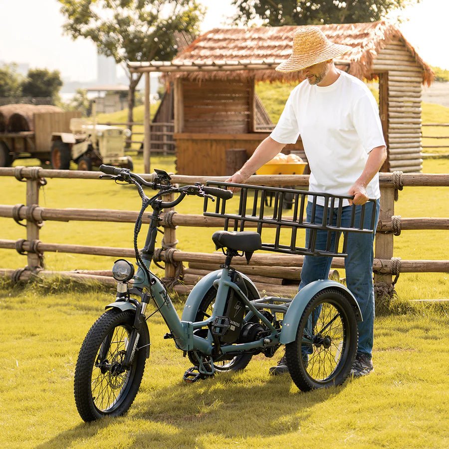 Fafrees F20 Mate - Elektro-Dreirad - Wheelyshop