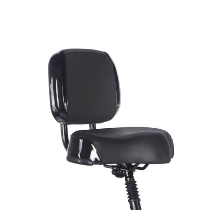 Fafrees F20 Mate - Elektro-Dreirad - Wheelyshop
