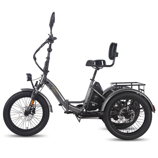 Fafrees F20 Mate - Elektro-Dreirad - Wheelyshop