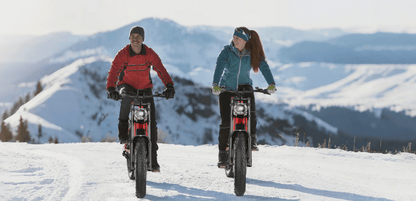 Hidoes B6 - E-Bike - Wheelyshop
