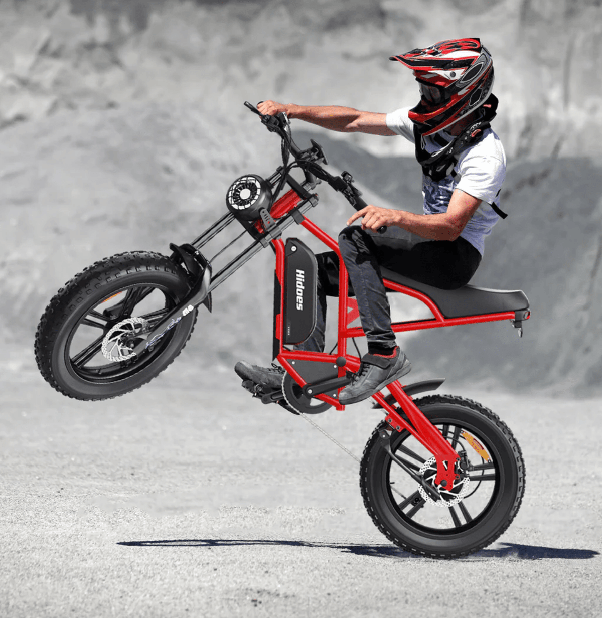 Hidoes B6 - E-Bike - Wheelyshop