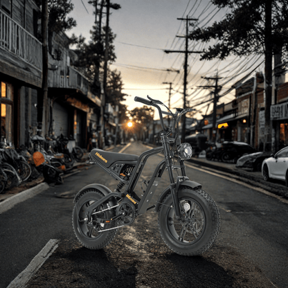 Hidoes B6 Mini - E-Bike - Wheelyshop