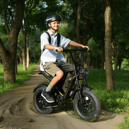Hidoes B6 Mini - E-Bike - Wheelyshop