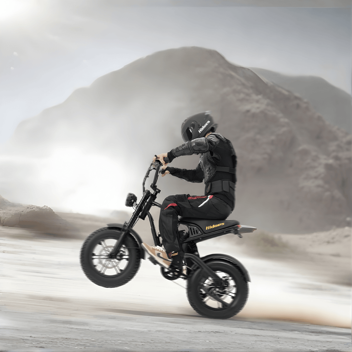 Hidoes B6 Mini - E-Bike - Wheelyshop