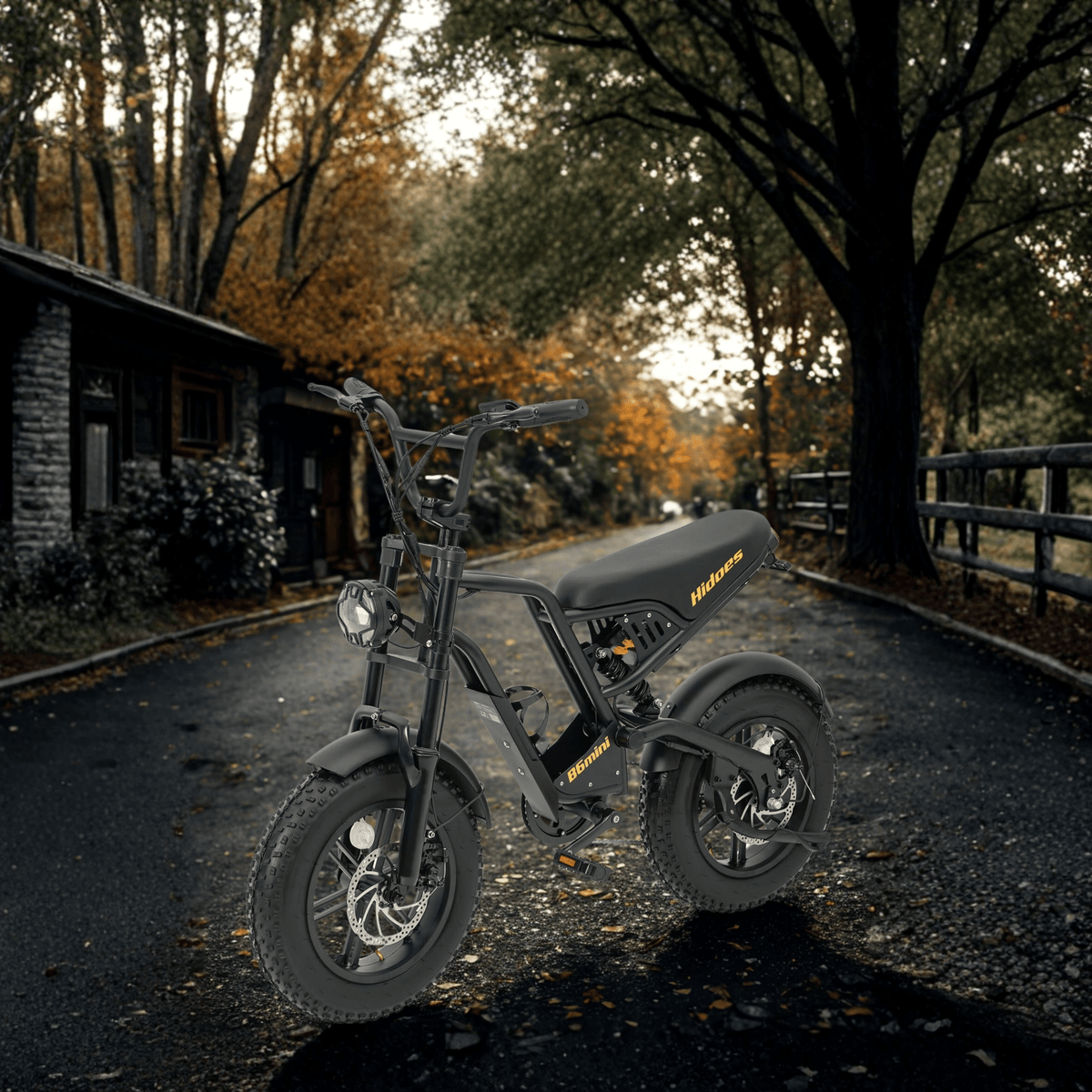 Hidoes B6 Mini - E-Bike - Wheelyshop
