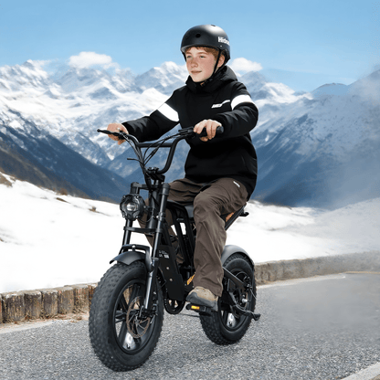Hidoes B6 Mini - E-Bike - Wheelyshop