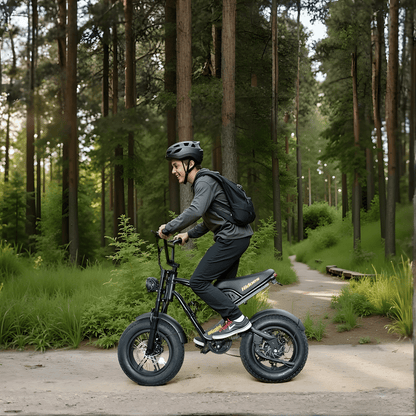 Hidoes B6 Mini - E-Bike - Wheelyshop