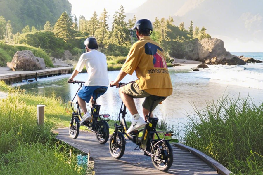 Hidoes C5 - E-Bike - Wheelyshop