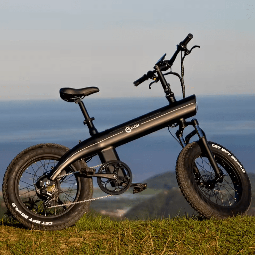 HX Q3 Plus - E-Bike - Wheelyshop
