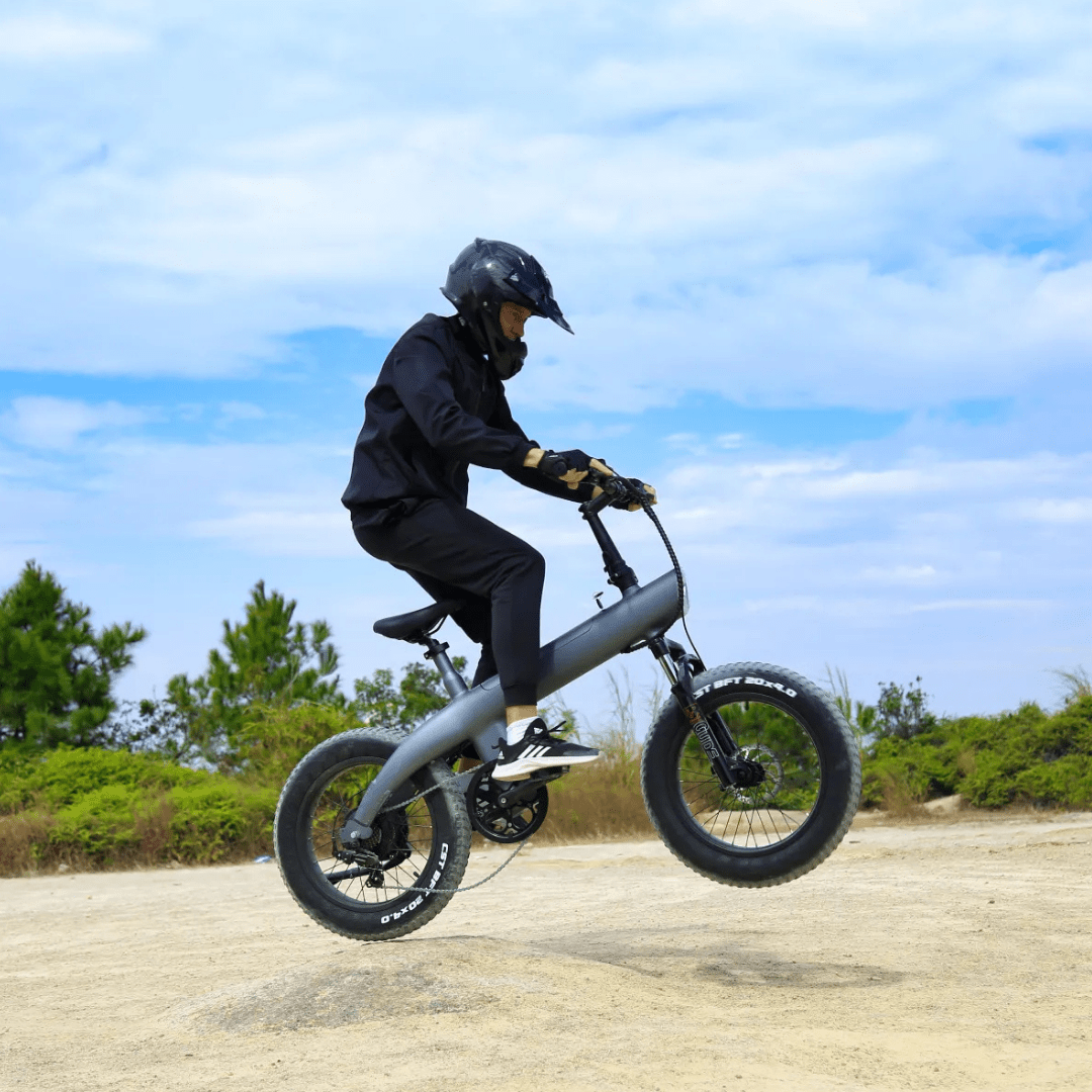 HX Q3 Plus - E-Bike - Wheelyshop