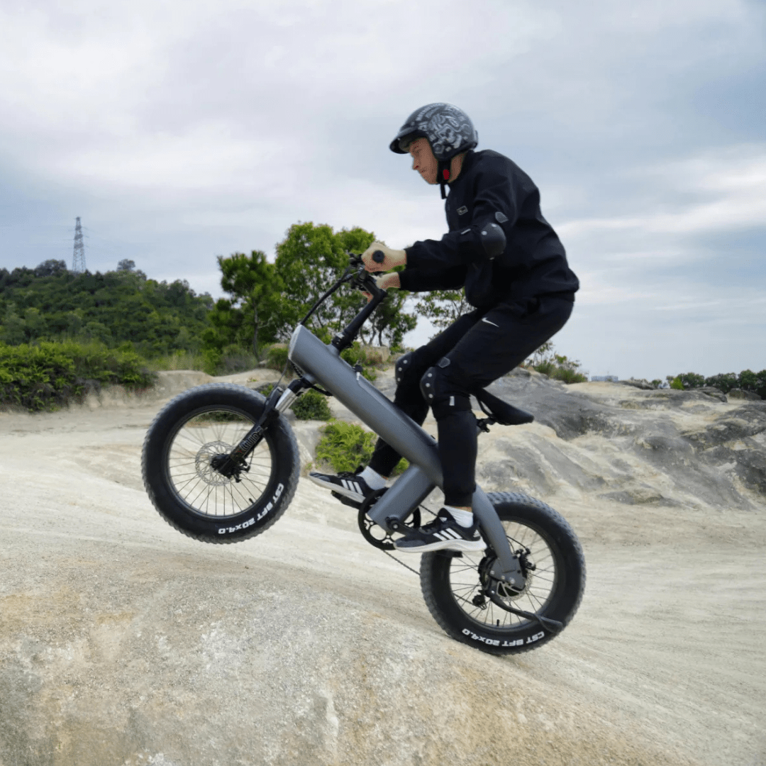 HX Q3 Plus - E-Bike - Wheelyshop