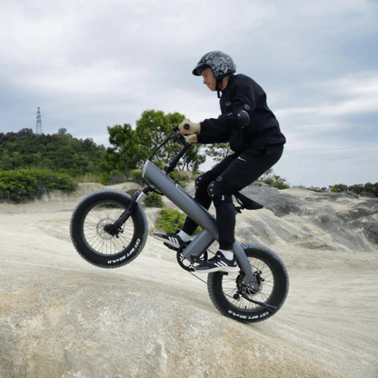 HX Q3 Plus - E-Bike - Wheelyshop