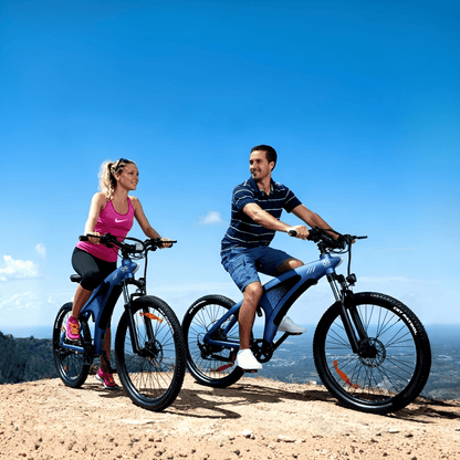 HX Q5S - E-Bike - Wheelyshop