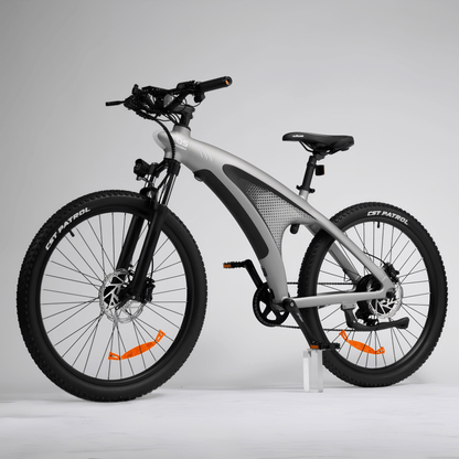 HX Q5S - E-Bike - Wheelyshop