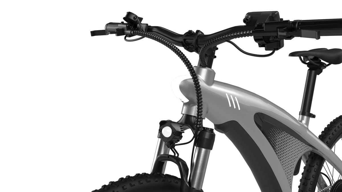 HX Q5S - E-Bike - Wheelyshop