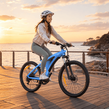 HX Q5S - E-Bike - Wheelyshop
