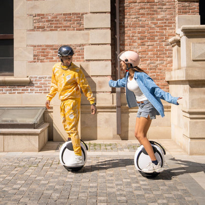 InMotion E20 - Elektrisches Einrad - Wheelyshop