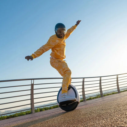 InMotion E20 - Elektrisches Einrad - Wheelyshop