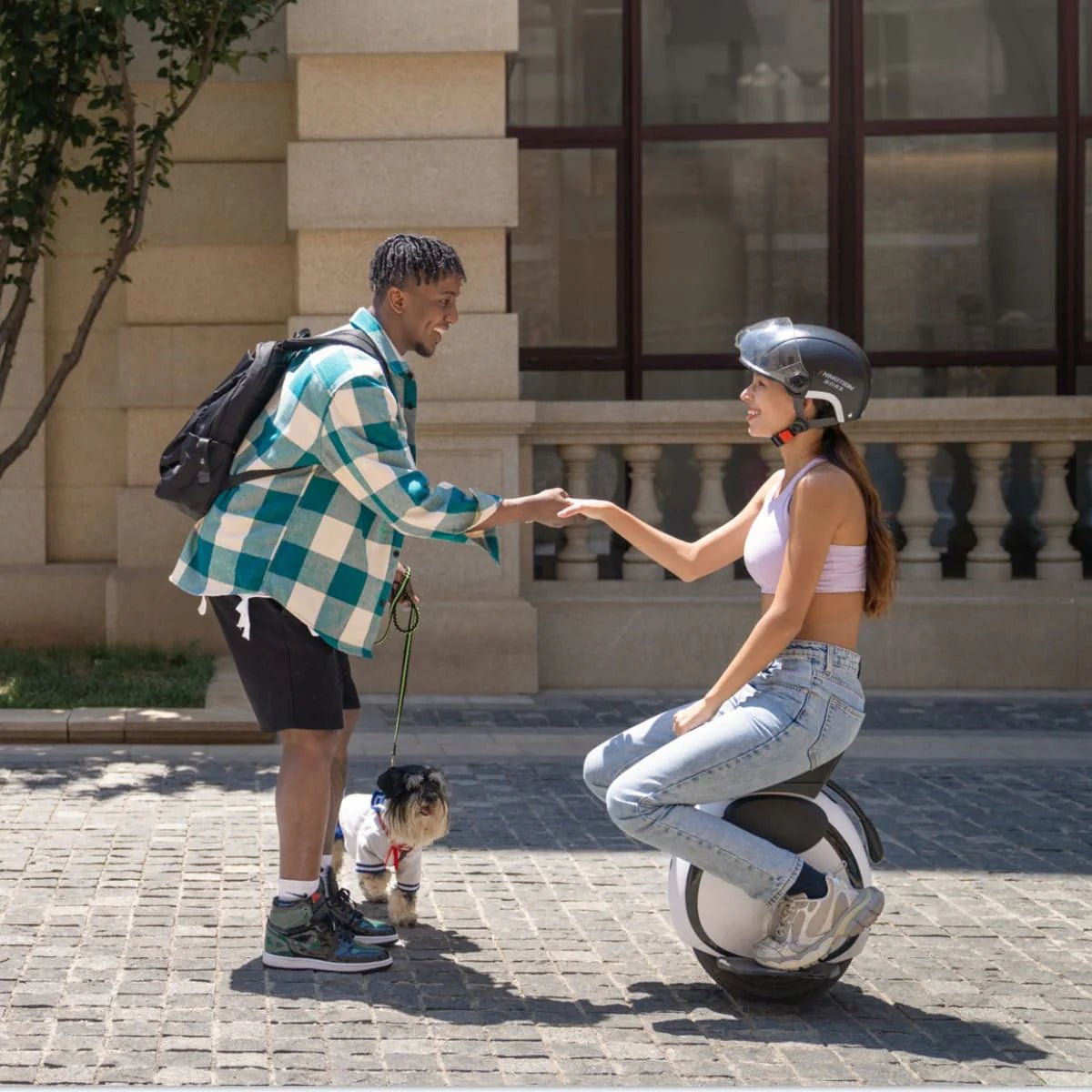 InMotion E20 - Elektrisches Einrad - Wheelyshop