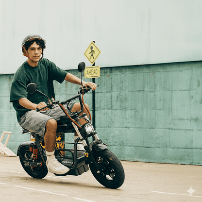 iScooter DX5 - E-Scooter - Wheelyshop