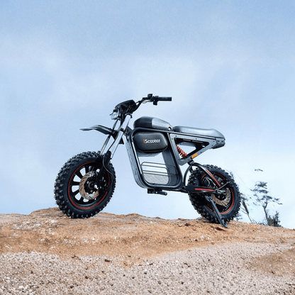 iScooter DX5 Max - E-Crossbike - Wheelyshop