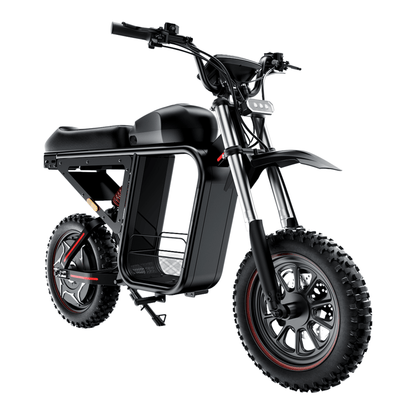 iScooter DX5 Max - E-Crossbike - Wheelyshop