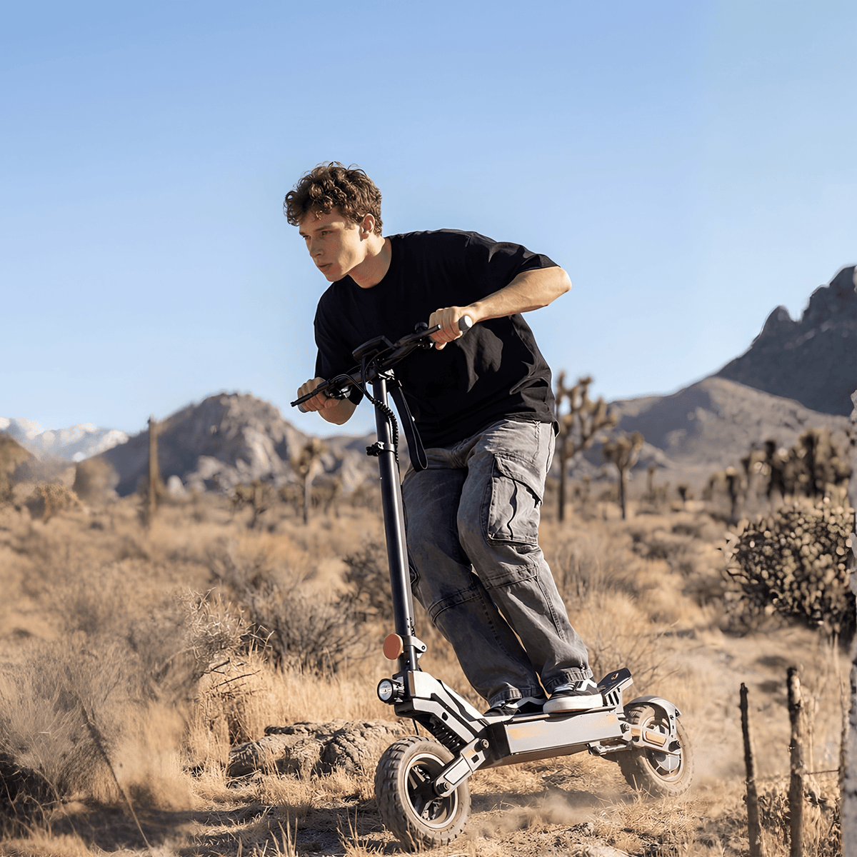 iScooter W10 - E-Scooter - Wheelyshop