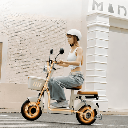 iScooter Y16 - E-Scooter - Wheelyshop