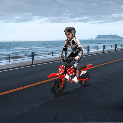 JKING C6 - Elektro-Dirtbike - Wheelyshop