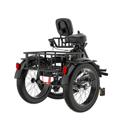 KOOLUX X13 - Elektro-Dreirad - Wheelyshop