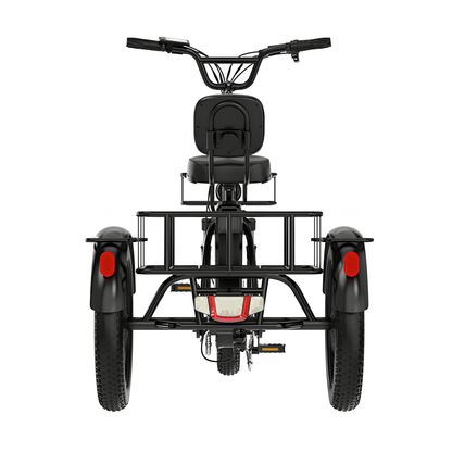 KOOLUX X13 - Elektro-Dreirad - Wheelyshop