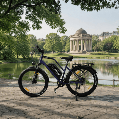 LOOKROAD L28 Max - E-Bike - Wheelyshop