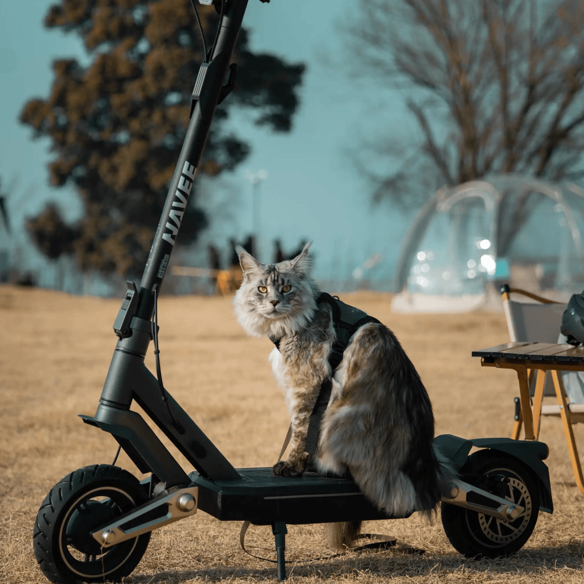 NAVEE ST3 Pro - E-Scooter - Wheelyshop