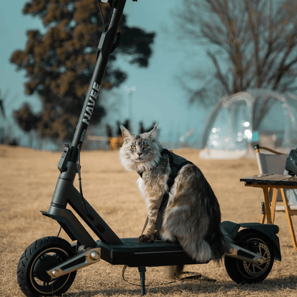 NAVEE ST3 Pro - E-Scooter - Wheelyshop