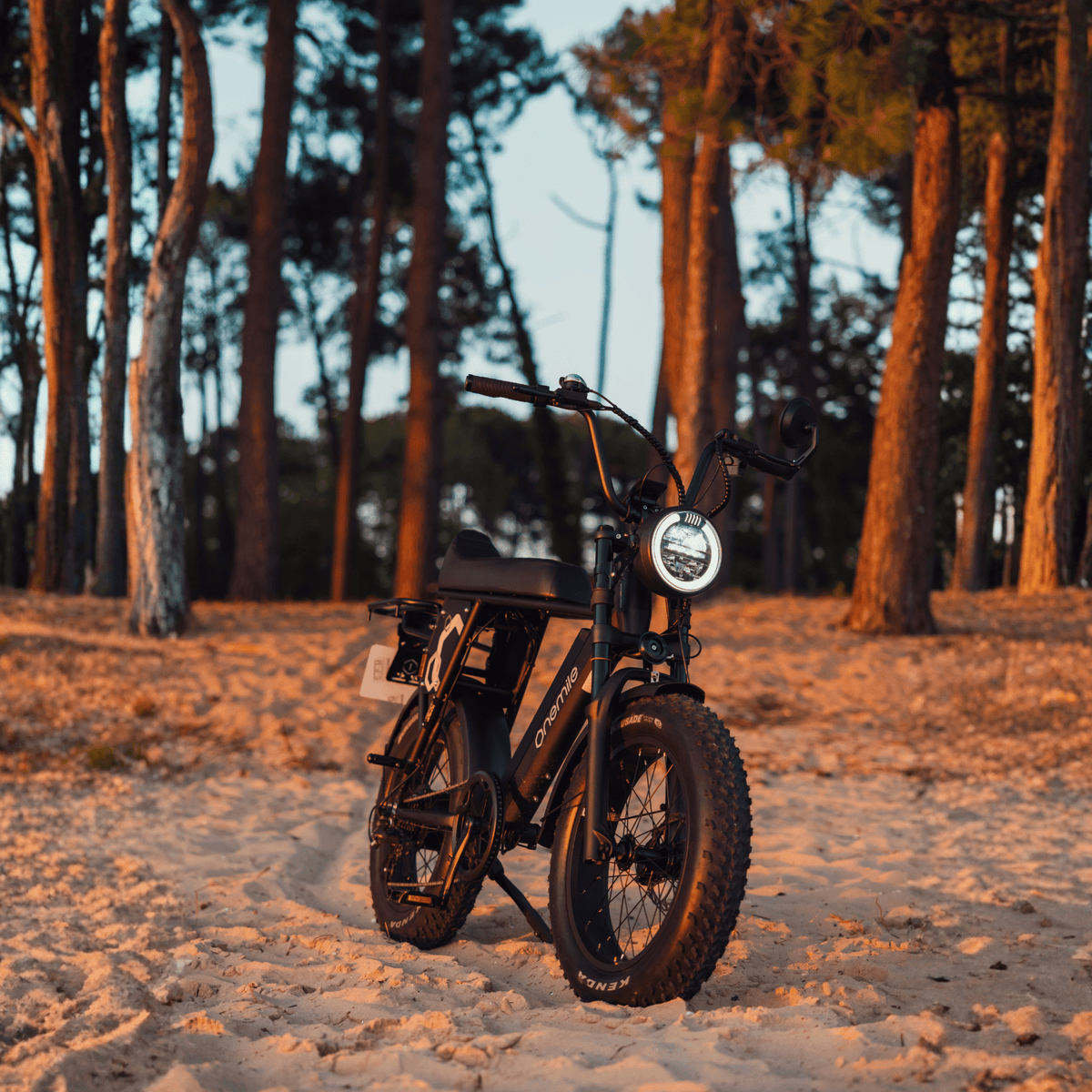 Onemile P40 Pro - E-Bike - Wheelyshop